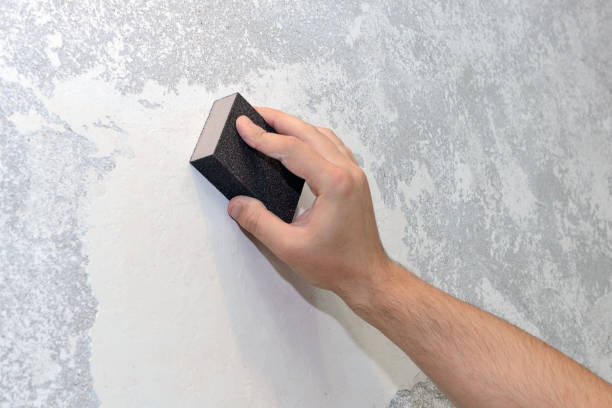  Blue Springs, MO Mold Removal Pros