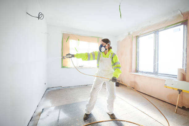 Best Mold Odor Removal Services  in Blue Springs, MO