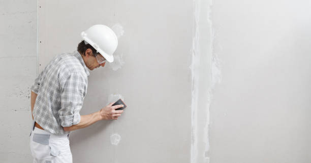 Best Airborne Mold Testing  in Blue Springs, MO