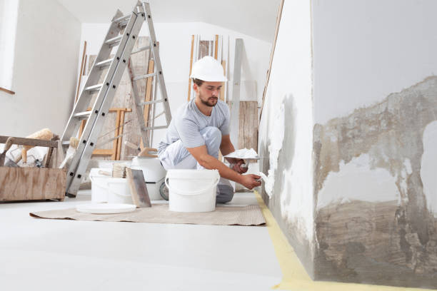Best Mold-Related Health Consultation  in Blue Springs, MO