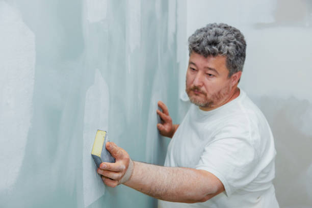 Best Residential Mold Inspection & Testing  in Blue Springs, MO